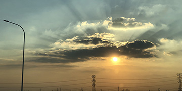 七里河悦旭技术优势